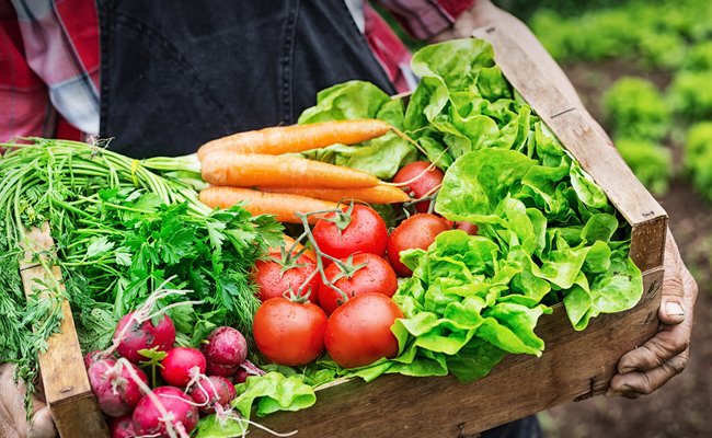 Organic vs. Non-Organic: Is Organic Food Really Better? 1