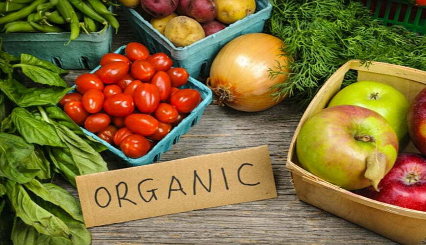 How one father and son duo is tackling the organic industry 1