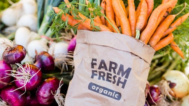 Why Is Organic Food Important For Your Baby Or Toddler? Find Out Here 2