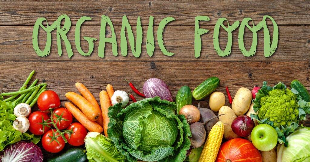 Zero Waste to Organic Food: Ahmedabad Lady’s Toxin-Free Home Will Inspire You! 2