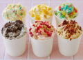 Dibs Ice Cream Coupon - Get Dib 18